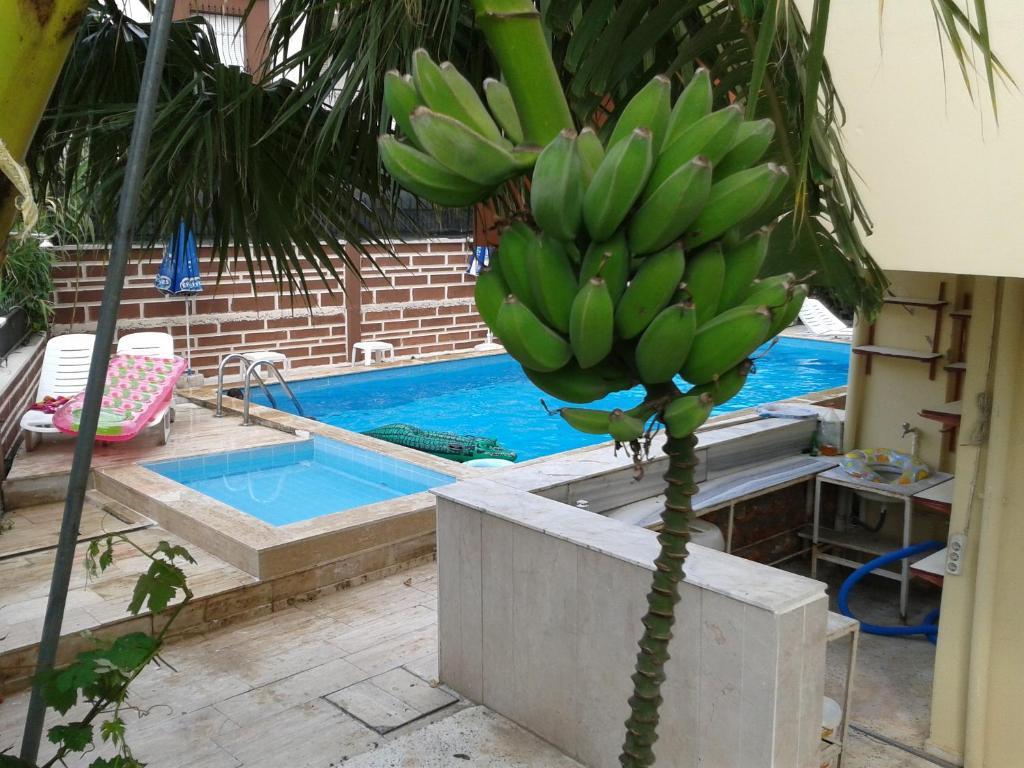 Kartal Hotel Antalya Exterior photo